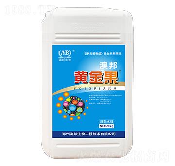 �S���-�İ�����