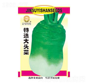 ���x���^��-̫��(l��)�N�I(y��)