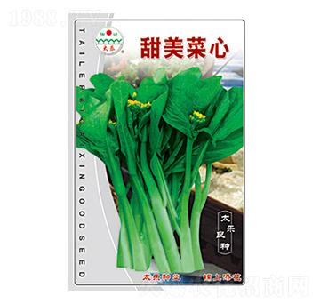 ��������-̫��(l��)�N�I(y��)