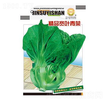 ��˷N��-��Ʒ���~���-̫���N�I(y��)