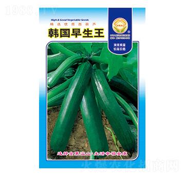 �����J�N��-�n��������-̫���N�I(y��)