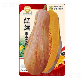 �ϹϷN��-�t�\�۱��Ϲ�-̫���N�I(y��)