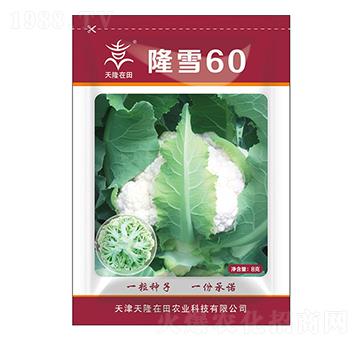 ¡ѩ60-��¡����-��¡�r(n��ng)�I(y��)