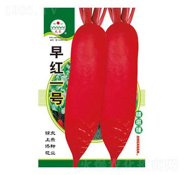 �}���N��-��tһ̖-̫���N�I(y��)