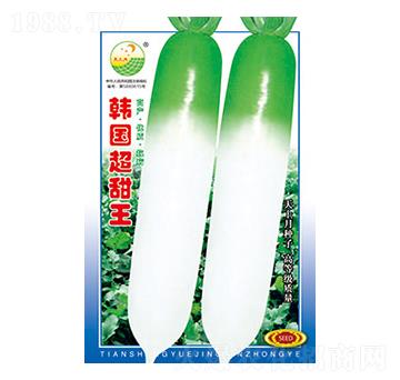 �}���N��-�n��������-̫���N�I(y��)