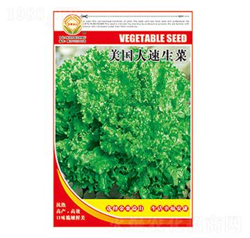 ���˷N��-������������-̫���N�I(y��)