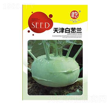 ���{(l��n)�N��-�������{(l��n)-���S�r(n��ng)�I(y��)