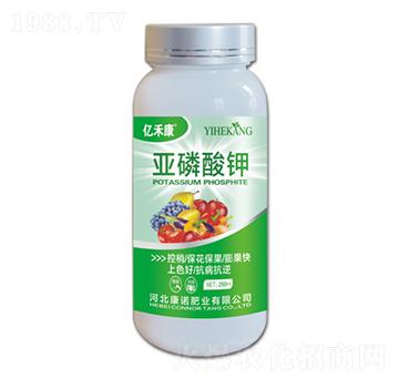 �������-�|�̿�-���Z�ʘI(y��)