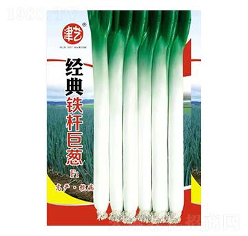 ���[�N��-��(j��ng)���F�U���[-���S�r(n��ng)�I(y��)