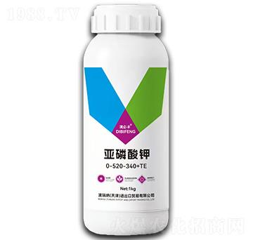 �������-�α��S-껵�����