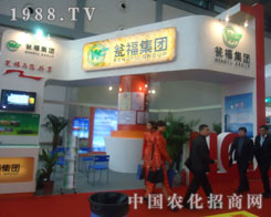 �̸����F(tu��n)�c����s2011�׏�(f��)��չ��(hu��)