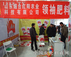 ���_(t��i)�t�(y��ng)���Ͻ�