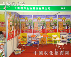 �Ϻ���(r��n)������ԭ�����p����(hu��)����