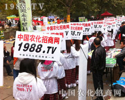 ���P��������]����������