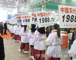 2012ɽ�|ֲ����(hu��)���r(n��ng)���W(w��ng)������(qi��ng)������