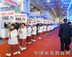 �e�۳ɹ��Ľ�(j��ng)���1988.TV��δ�팢������