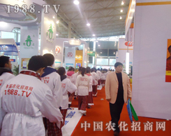 1988.TV׌���N�̂�������ϣ��