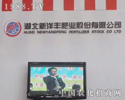 ���������S�W�����R2012�׏�(f��)�ʕ�