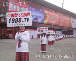 ��28��ֲ����(hu��)�r(n��ng)���W(w��ng)��(sh��)�����������(sh��)�ֺ�