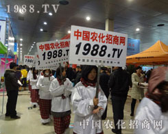 1988.TV������(zh��n)��(hu��)��(ch��ng)�����o(w��)��ֹ