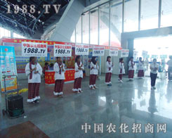 ����ֱǰ���r(n��ng)�����̾W(w��ng)�đ�(zh��n)ʿ�����������y