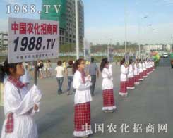 2012���½��r(n��ng)�I(y��)���[��(hu��)�҂������˿s