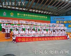 2012���12���½��r(n��ng)�������r(n��ng)�����̾W(w��ng)�٫@