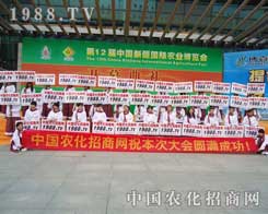 �Զ��l(f��)չ���������r���W������V韵�����