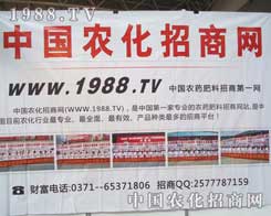 ��12���½��r�����r�����̾W�ل�(chu��ng)�x�ͣ�