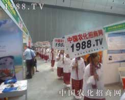 �r(n��ng)���W(w��ng)�F(tu��n)�(du��)���ĵ�ȥ�Є�(d��ng)��ȥ��(zh��n)��