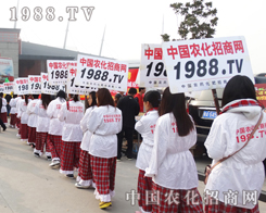 2013�����r(n��ng)ˎ�p����(hu��)���r(n��ng)���W(w��ng)���񶶔\