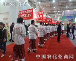 2013ɽ�|ֲ�������_���µđ�(zh��n)��