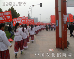 ɽ�|����ֲ�������зN����