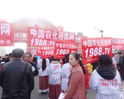 ��29��ֲ���p�������r(n��ng)���˰���ͦ��