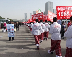 �r(n��ng)������2013ֲ����(hu��)�ϟ���Ƿ�