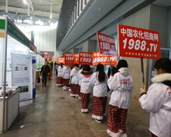 �r(n��ng)�����̾W(w��ng)�ľ����Ļ�