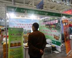 ���������ٴ������29��ֲ����