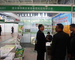 ��W�_(d��)29���Ͼ�ֲ����(hu��)�еõ��߶�ٝ�P(y��ng)