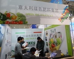 ������Gɫ���ϳ��F(xi��n)��2013ֲ���p������