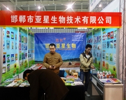 �������������������29��ֲ���������A�M�Y(ji��)