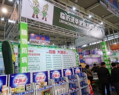 ���A�������\���ӵ�29��ֲ���p����