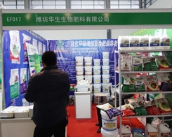 �H���A����29��ֲ���p�����О����Ͽ͑�����