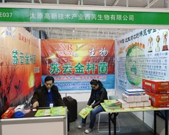 ���u�������@��29��ֲ��չ���A�ý��N�̺��u