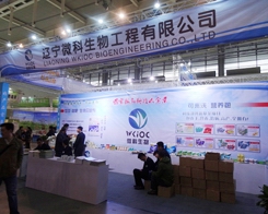 ΢�����Ͼ�ֲ�������A�ÿ͑��ĸ߶��Pע