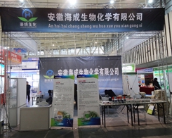 ���պ�����2013ֲ����(hu��)�ϻ���ʮ��