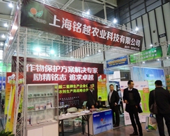 �Խ�r(n��ng)�I(y��)�ڶ�ʮ�Ō��Ͼ�ֲ����(hu��)�Ϲ�������