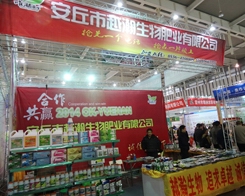 Խ�������ڵ�29���Ͼ�ֲ�����ו��ϵ�픷�