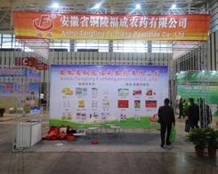 �������@��2013���Kֲ�����ЉѴ��ˌ���