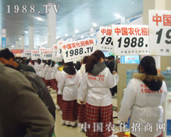 2013�r(n��ng)�Y���ϵē����������