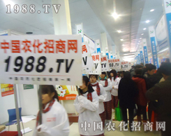 ���������҂��r(n��ng)�����̾W(w��ng)��һ֧���R�����